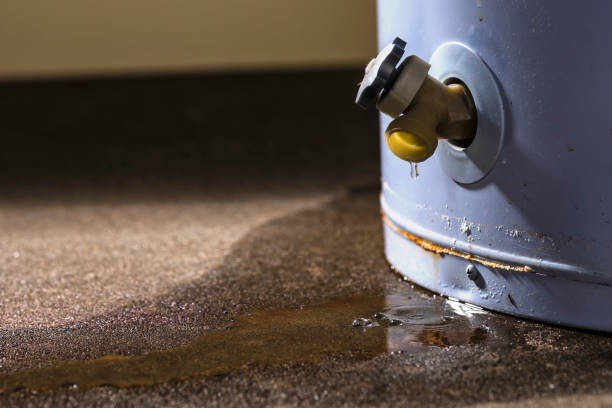 Best 24-hour water damage restoration  in The Hammocks, FL