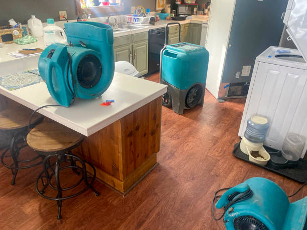 Best Commercial water damage restoration  in The Hammocks, FL