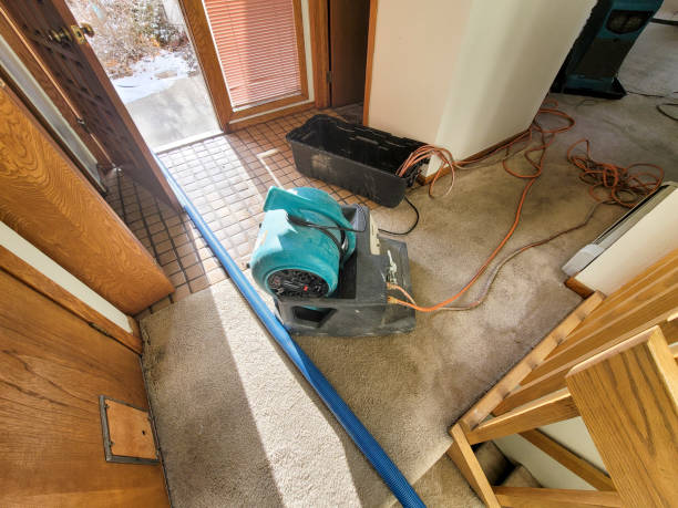 Best Flood damage cleanup  in The Hammocks, FL