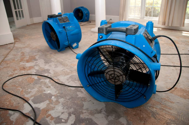 Best Fire Damage Restoration  in The Hammocks, FL