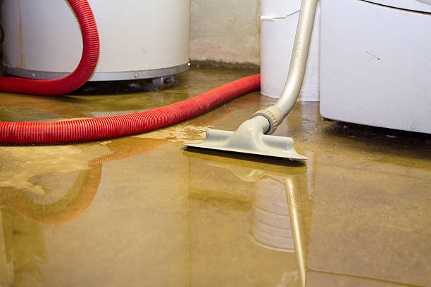 Best Water damage restoration near me  in The Hammocks, FL
