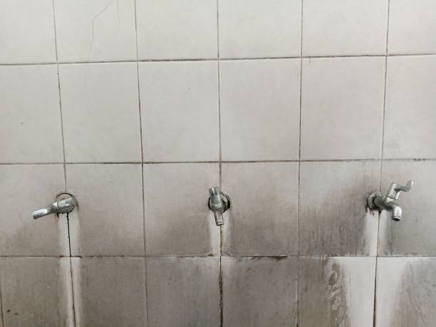 Best Water damage restoration near me  in The Hammocks, FL