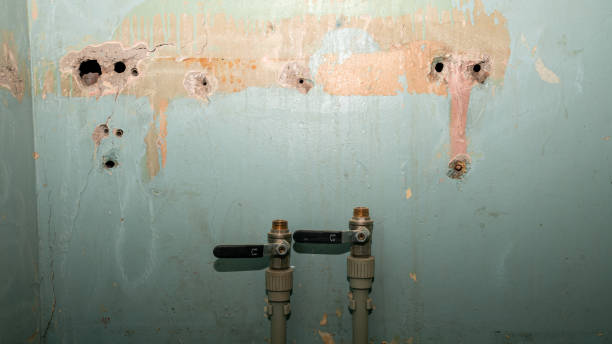 Best Fire Damage Restoration  in The Hammocks, FL