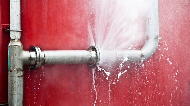 The Hammocks, FL Water damage restoration Company